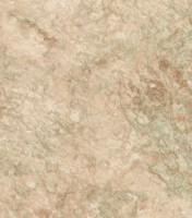 65