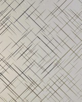  SMC-003  